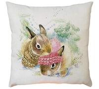 H.eternal Housse de coussin Motif lapin de Pâques 45,7 x 45,7 cm, C, 45cmX45cm/18"X18"