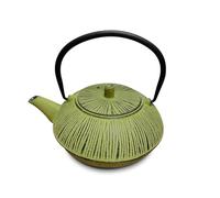 H&H Théière en fonte émaillée 0,80 L avec filtre en acier inoxydable, couleur vert foncé, convient à tous les étages de cuisson, y compris induction