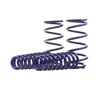 H&R 29089-1 Ressorts de suspension