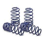 H&R Ressorts De Rabaissage Pour Audi A6 Avant/SW Incl. Quattro 4F C6 2WD+4WD