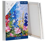 H&S Toile Vierge pour Peinture à l'Huile ou Acrylique - Lot de 5 Toiles Blanches Canvas en Coton sur Cadre en Pin 30 x 40 cm - Toile a Peindre Blanche Grand Format et Chassis