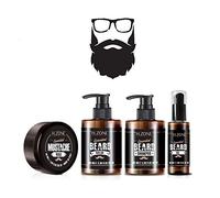 H-Zone Essential Set de 4 produits pour barbe et moustache