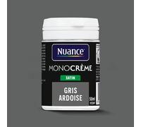 H20169-0L05 - Testeur peinture MonoCrÃ¨me -