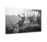 H2467M_1E Tableau imprimé sur toile Motif cerf Noir/blanc 60 x 40 cm