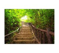 H813M_PL1Z Poster mural Motif escaliers vers la forêt 100 x 70 cm