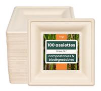HAAGO 100 Assiettes Solides Compostables en Canne à Sucre, 26 cm / 10 Pouces Carrées - Assiettes Carton Rigides, Anti-Graisse & Anti-Fuites - Jetables pour Chaud & Froid, Fêtes, BBQ, Traiteur