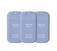HAAN Spray hydratant pour les mains à l'aloe vera (lot de 3) - 3 unités par parfum: Morning Glory