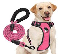 haapaw - Harnais anti-traction pour chien de taille moyenne et grande, réglable, en tissu Oxford réfléchissant, facile à contrôler, avec une laisse robuste gratuite