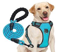 haapaw - Harnais anti-traction pour chien de taille moyenne et grande, réglable, en tissu Oxford réfléchissant, facile à contrôler, avec une laisse robuste gratuite