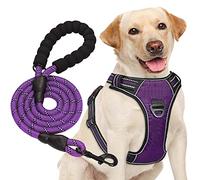 haapaw - Harnais anti-traction pour chien de taille moyenne et grande, réglable, en tissu Oxford réfléchissant, facile à contrôler, avec une laisse robuste gratuite
