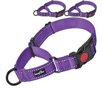 haapaw Lot de 2 Colliers de Dressage pour Chien Martingale avec Boucle à dégagement Rapide réfléchissant pour Chiens de Petite, Moyenne et Grande Taille