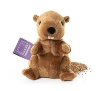 Habibi Coussin thermique/peluche pour enfants et adultes - Rembourrage de mil - Peluche de flanelle, pour chauffer au micro-ondes/four, idéal aussi pour les enfants chaleur laineuse