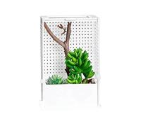 Habitat - Acrylic Clear Tank Reptile Cage, Small Reptile | Artificial Plants and Dedicated Vertical Climbing Space, This Habitat Nesting Breeding Feeding