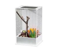 Habitat - Acrylic Clear Tank Reptile Cage, Small Reptile | Artificial Plants and Dedicated Vertical Climbing Space, This Habitat Nesting Breeding Feeding