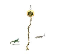 Habitat araignée magnétique - Cachette en bois naturel, décoration d'enclos compacte, un lieu de refuge sûr pour les arthropodes, les reptiles et les geckos. Offre une maison décorative qui donne des
