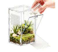 Habitat Araignée Sauteuse Terrarium Acrylique Transparent À Porte | Maison À Araignée Pour Grenouille Tortue Lézard Serpent Tortue Terrestre Dragon Barbu Reptile