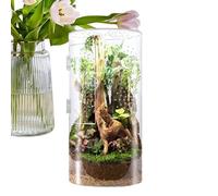 Habitat d'araignée sautant | Terrarium mante priante en Acrylique - Habitat ventilé imperméable avec Porte d'ouverture pour tarentules, mantes, Bernard-ermite et Petits Animaux de Compagnie
