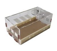 Habitat de château de Fourmis en Acrylique - Kit d'apprentissage de vulgarisation Scientifique, Kit Scientifique de nid de comportement d'étude à la Ferme for colonie de Fourmis Boîte à Fourmis