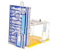 Habitat de Nid de Fourmis, Boîte de Présentation de Ferme de Fourmis en Acrylique avec Mangeoire, Nids D'insectes Villa Pet Mania pour Maison, Habitat de Fourmis pour L'apprentissage des Tige Color B