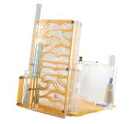Habitat de Nid de Fourmis, Boîte de Présentation de Ferme de Fourmis en Acrylique avec Mangeoire, Nids D'insectes Villa Pet Mania pour Maison, Habitat de Fourmis pour L'apprentissage des Tige Color C