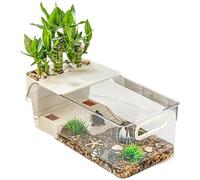 Habitat de Reptile Aquatique - Réservoir de Terrarium Transparent avec Plate-Forme de Quai sèche pour Tortues, Tritons, Grenouilles, salamandres, Crabe ermite, Petit récipient an