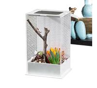Habitat de sauterelle en acrylique transparent,Cage pour animaux en acrylique transparent - Pour saut araignée petits reptiles,Alimenter la culture de nidification