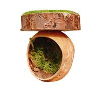 Habitat Des Sauteurs - Bois, Habitats Magnétiques, Terrariums Reptiles Insectes Queue | Cages D'abri Fait À La Main Pour Cage De Tarentule Mini Réservoir Pour La Croissance De Petits