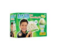 Habitat d'observation pour fourmis