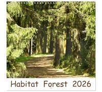Habitat Forest (Wall Calendar 2026 12 × 12 Inch) CALVENDO 12 Month Wall Calendar: Bring the forest home and smell its scent.