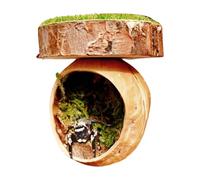 Habitat pour araignée sauteuse - Cachette pour araignée 5,5 cm | Enclos avec plateforme d’escalade et fixation magnétique | Refuge sûr pour petits reptiles, geckos, tarentules ou araignées sauteuses |