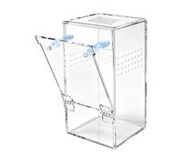 Habitat pour Araignée Sauteuse Petite Maison De Ventilation Transparente