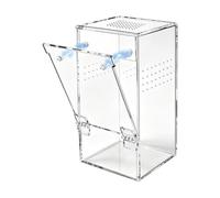 Habitat pour Araignée Sauteuse Petite Maison De Ventilation Transparente
