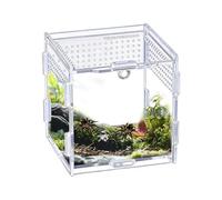 Habitat pour reptiles Boîte Animale en Acrylique Transparente