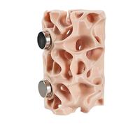 Habitat pour Reptiles | Cachette Magnétique | Grotte De Cachette pour Gecko,Décoration pour Terrarium d'escalade pour Araignée, Enclos pour Grenouille, Gecko et Amphibiens