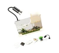 Habitat pour tortues comprenant une plate-forme de baignade et un quai de rage, aquariums d'élevage pour animaux domestiques, petite citerne à dos coquillage