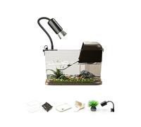Habitat pour tortues comprenant une plate-forme de baignade et un quai de rage, aquariums d'élevage pour animaux domestiques, plate-forme paysagère