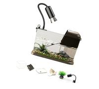 Habitat pour tortues comprenant une plate-forme de baignade et un quai de rage, aquariums d'élevage pour animaux domestiques, plate-forme paysagère