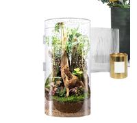 Habitat Sprogen Terrarium - Terrarium d'araignée acrylique ventilé, boîtier compact pour insectes | Boîte de reptile avec ouverture de porte pour tarentula ou escargots dans l'élevage de petits animau
