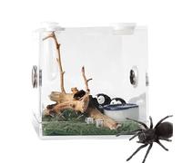 Habitat transparent en acrylique pour reptiles - Cage d'habitat pour reptiles - Récipient d'élevage en acrylique avec ventilation en métal - Pour lézards araignées, scorpions, mille-pattes, cornes
