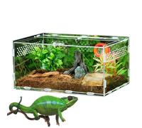 Habitat Transparent Pour Reptiles - Mini Cage, Terrarium Pour | Plateau D'alimentation En Acrylique, Clôture De Tortue, Dôme Pour Animaux De Compagnie Avec Serrure, Conteneur En Plastique
