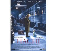 Hachi