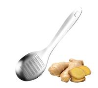 Hachoir à ail et gingembre - Outil de broyage manuel multifonction - Cuillère râpe à gingembre - Pour la cuisine, la pâtisserie, les vacances, le camping, les pique-niques, les hôtels, les restaurants