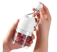 Hachoir À Ail Manivelle Mini En Acier Inoxydable Pour Oignon Gingembre