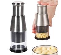 HACHOIR À AIL PRESSÉ En Acier Inoxydable, Manuel Pressed Garlic Chopper, Hachoir Manuel Cuisine Pour Gingembre Piment Oignon, Presse-ail, Outils D'assaisonnement Et D'épices