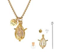 HACRAHO Collier commémoratif en fourrure d'animal de compagnie, 1 collier souvenir en forme de fourrure de chien, collier souvenir en forme de fourrure de chien, cercle en verre transparent, chaîne en