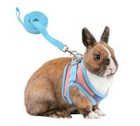 HACRAHO Ensemble harnais et laisse réglables pour lapin, double boucle avec bandes réfléchissantes - Convient pour les promenades des lapins - Bleu et rose - Taille S
