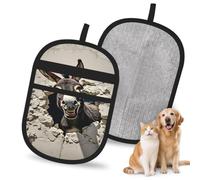 HACXZ Gant Anti-Poils d'animaux Donkey Breaking Wall pour Chiens et Chats, 24 x 17 cm, réutilisable, pour canapé, lit, Tapis et sièges Auto.