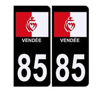 HADEXIA Autocollant Sticker Plaque d'immatriculation Voiture 85 Drapeau Vendéen BIS Noir Logo Couleur