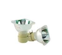 HAdfEV Lampe nue UHP225W E20.9 SL-094 for IN124, IN126x, IN2124, IN2126x, IN2128HD