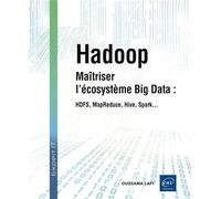 Hadoop: Maîtriser l’écosystème Big Data : HDFS, MapReduce, Hive, Spark…